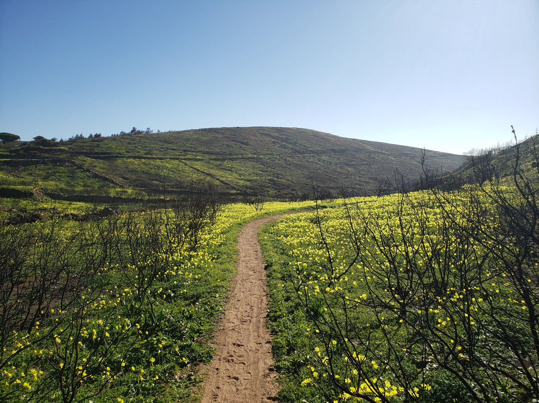 Portugal Mountain Biking-Malveira da Serra必去景点