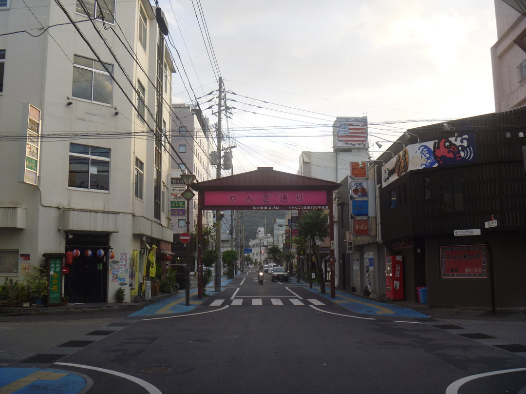 Yanigawa Shopping Street-奄美市必去景点