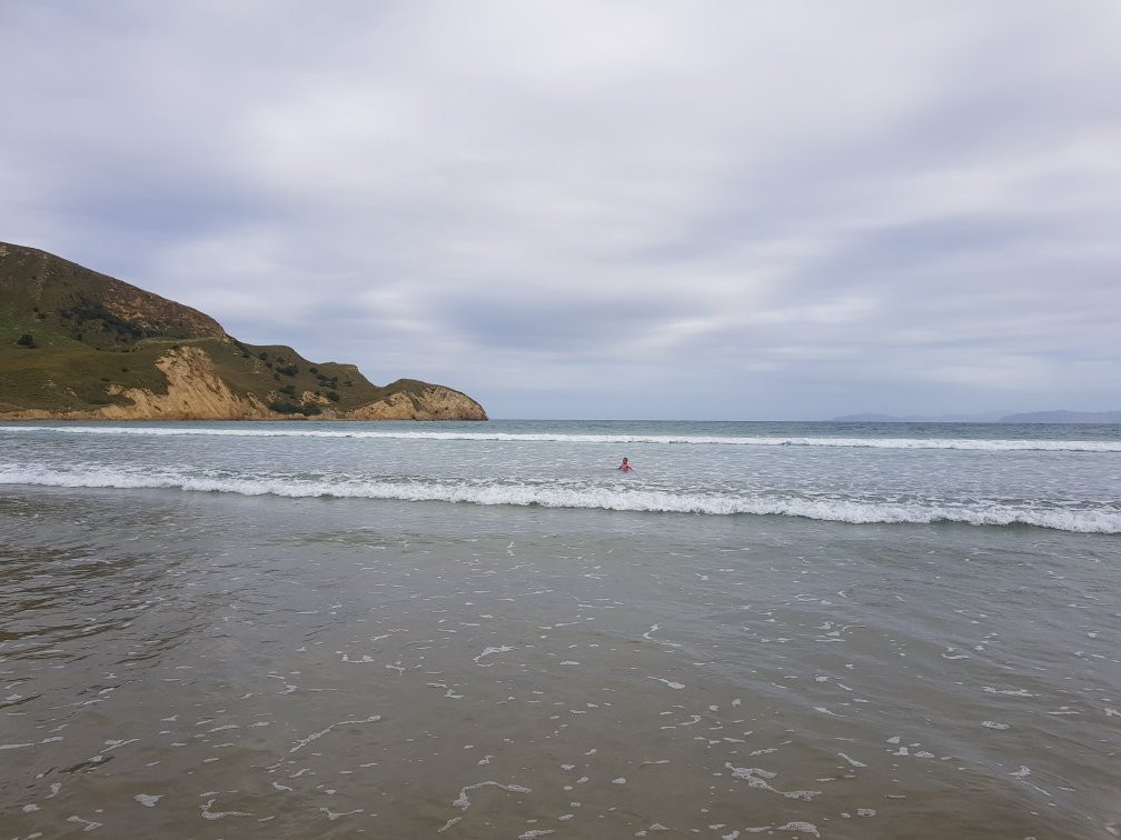 Waikouaiti Beach景点图片