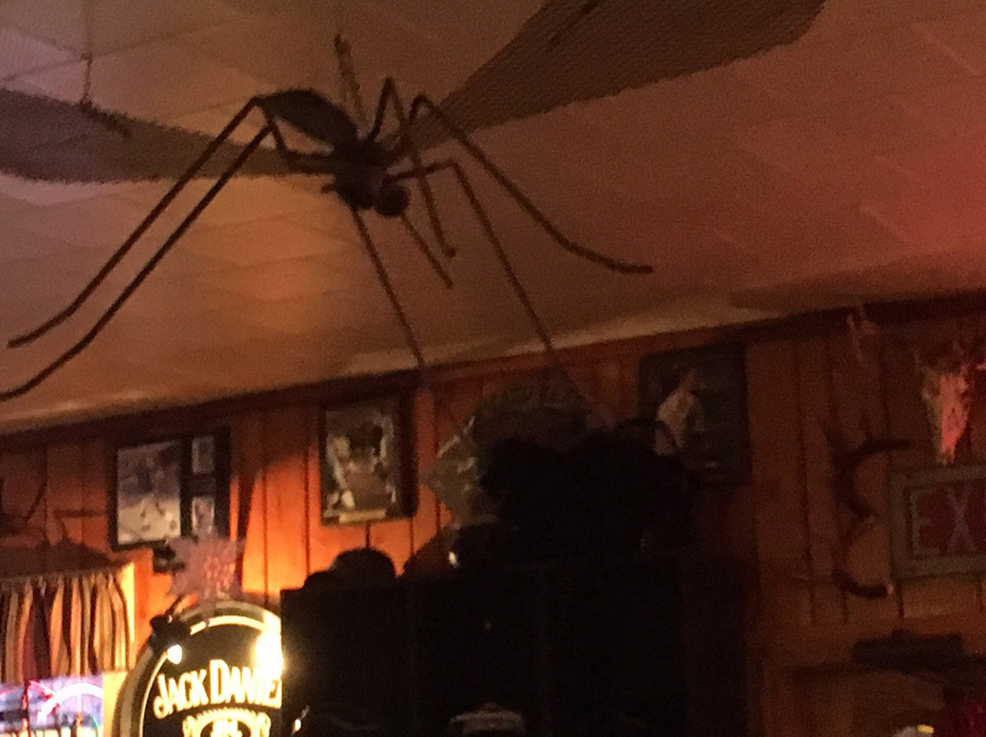 The Mosquito Inn-Toivola必去景点