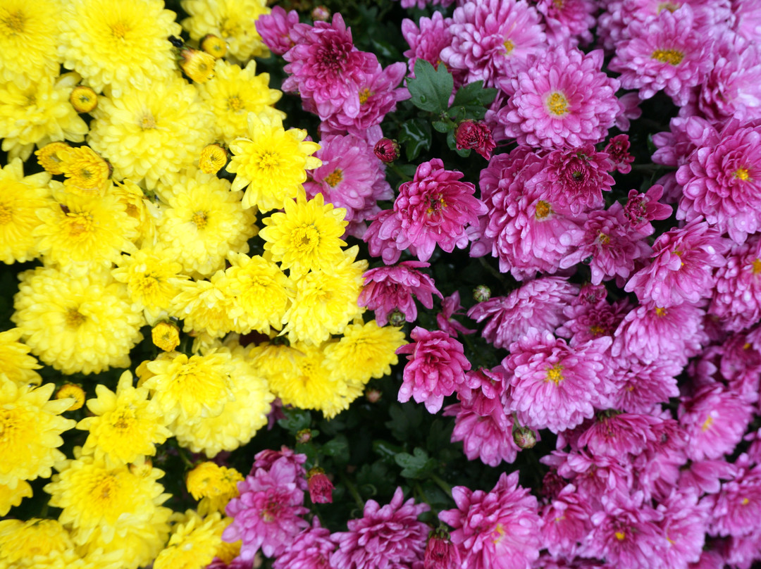 The Common Man Inn & Spa主图