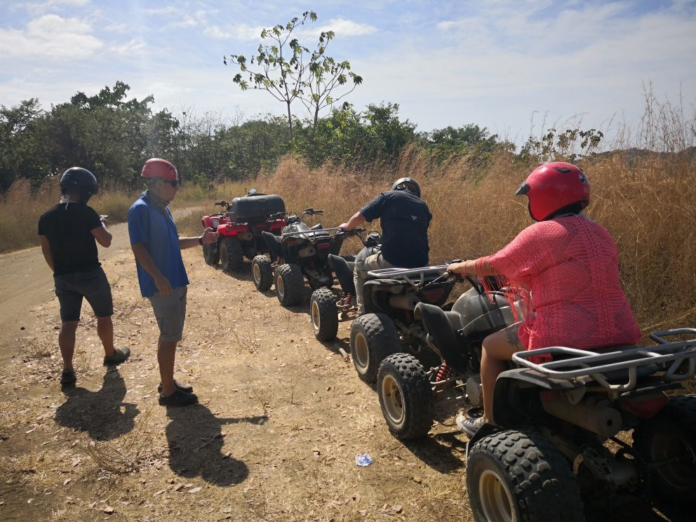 Vista Los Suenos Horseback Riding景点图片