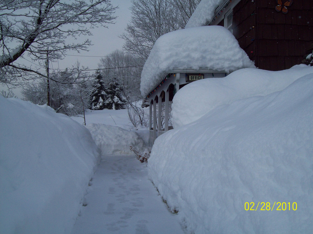 Cave Mountain Motel主图