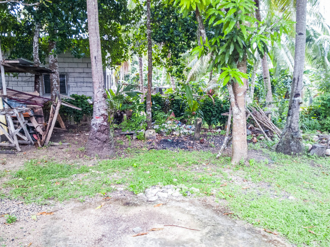 James Homestay主图