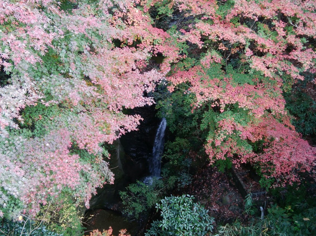 Jizodo Temple Waterfall景点图片