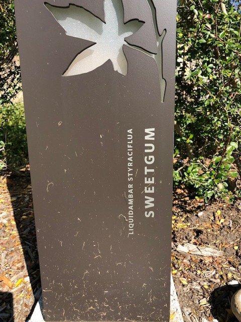 Evelyn's Park Conservancy-Bellaire必去景点