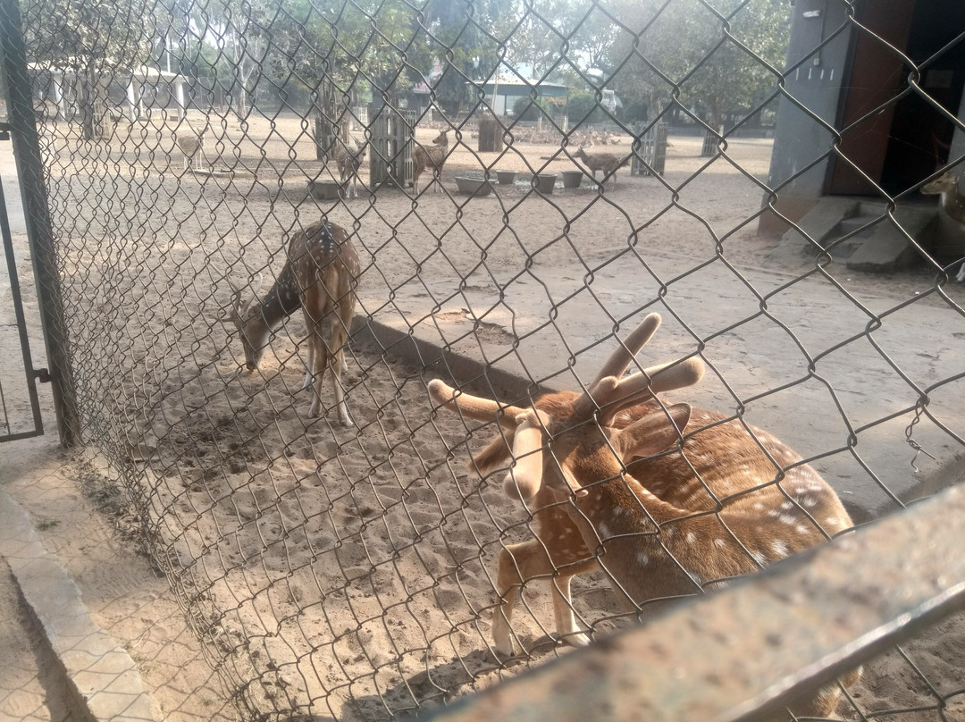 Deer Park景点图片