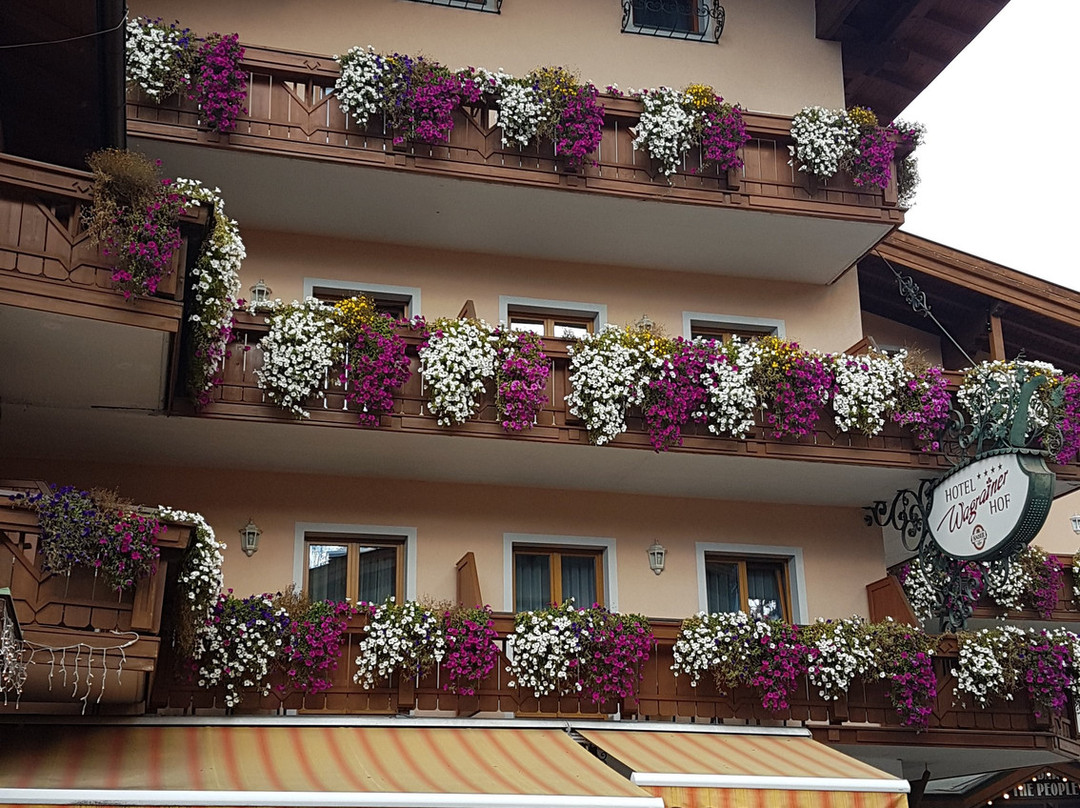 Hotel Wagrainerhof主图