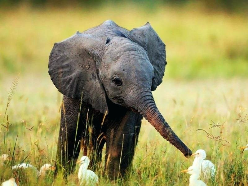 Madagui Town酒店住宿-Forest Side Eco Lodge