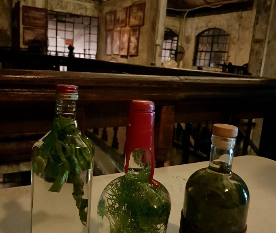 Urban Greens Hydroponic Farm Systems-马卡蒂必去景点