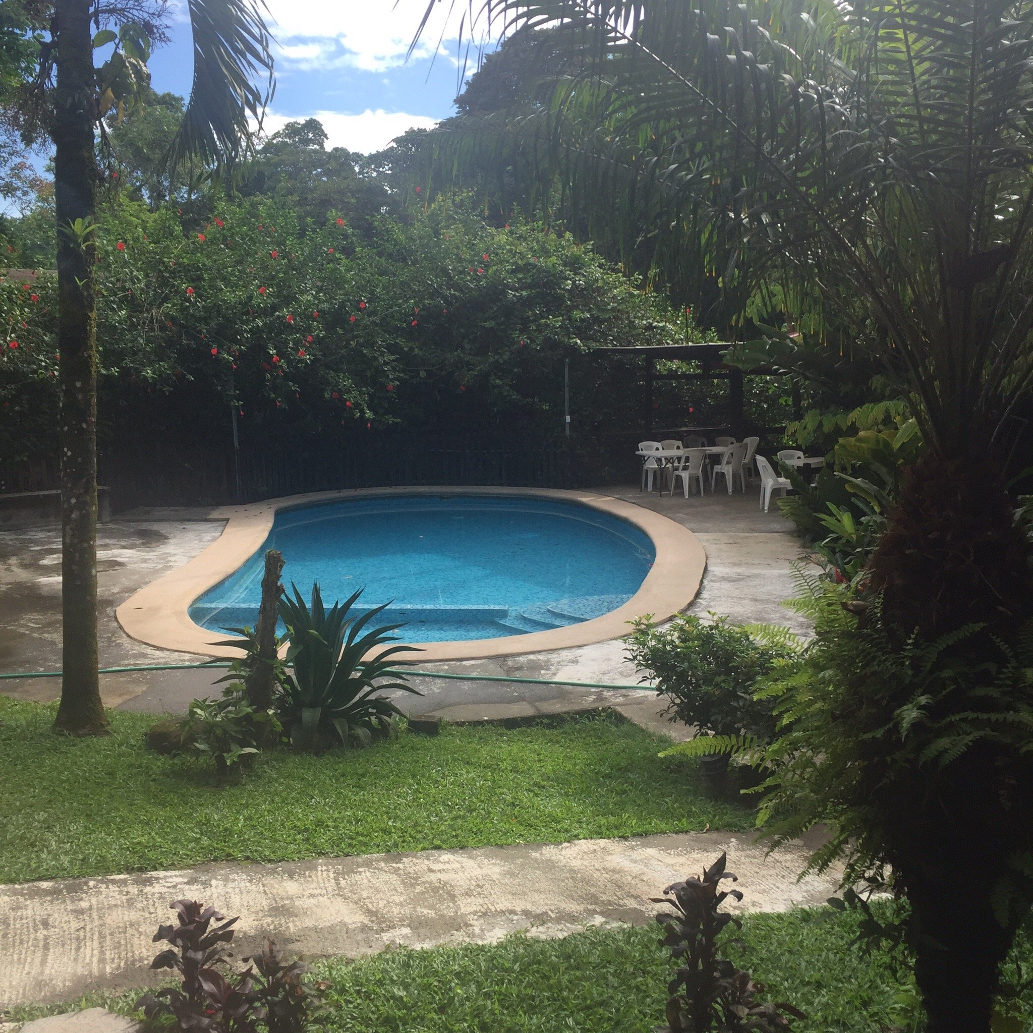 Brisas del Rio-官方