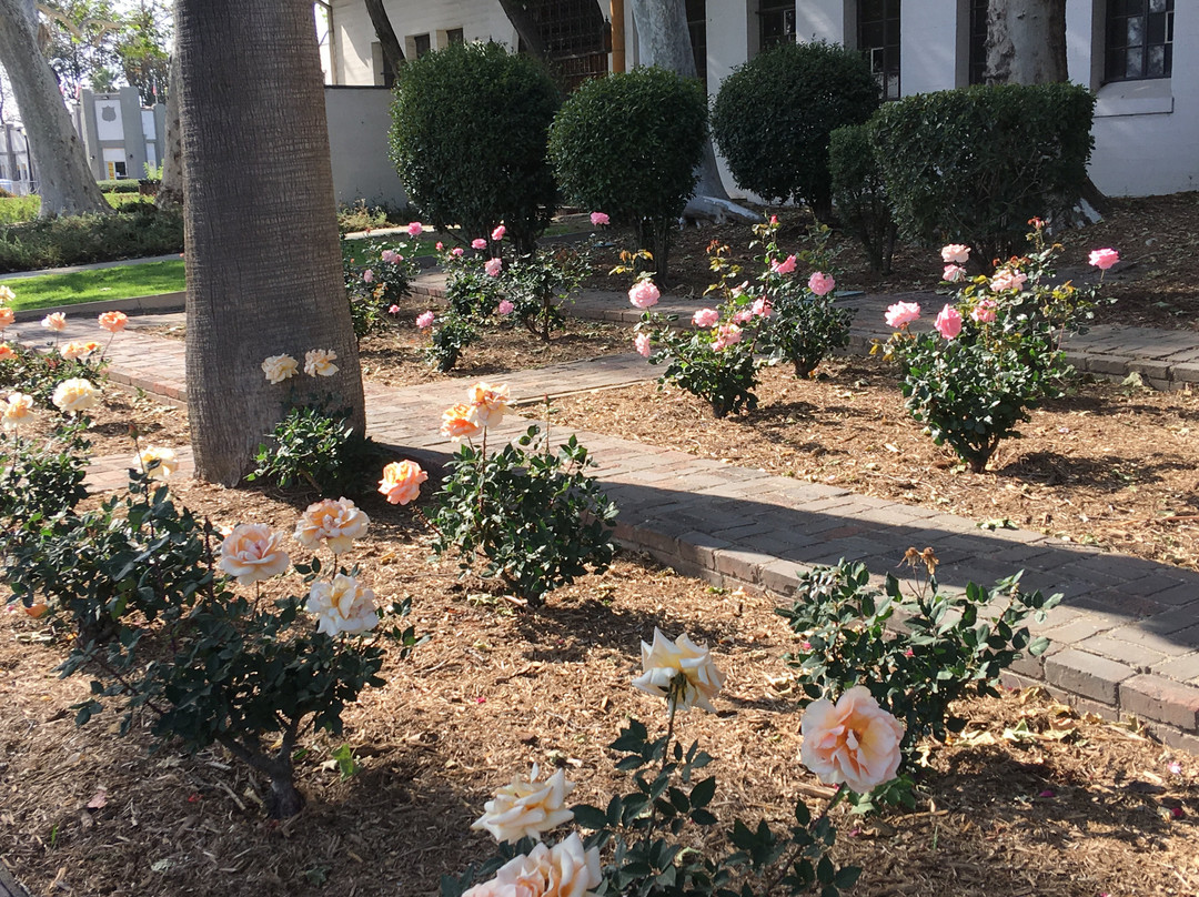 Museum of History and Art, Ontario-安大略必去景点