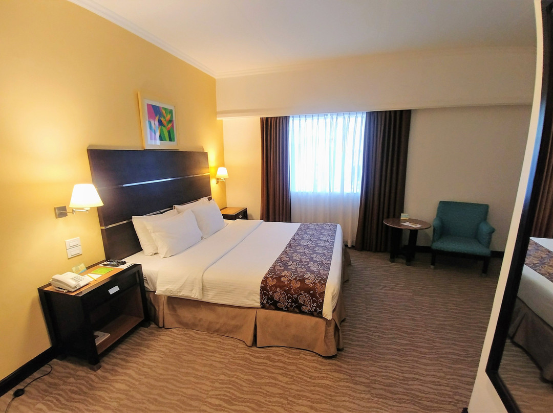 伊洛戴斯酒店主图