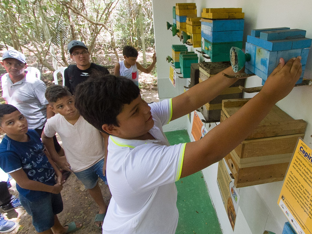 Ceara Botanical Park-Caucaia必去景点