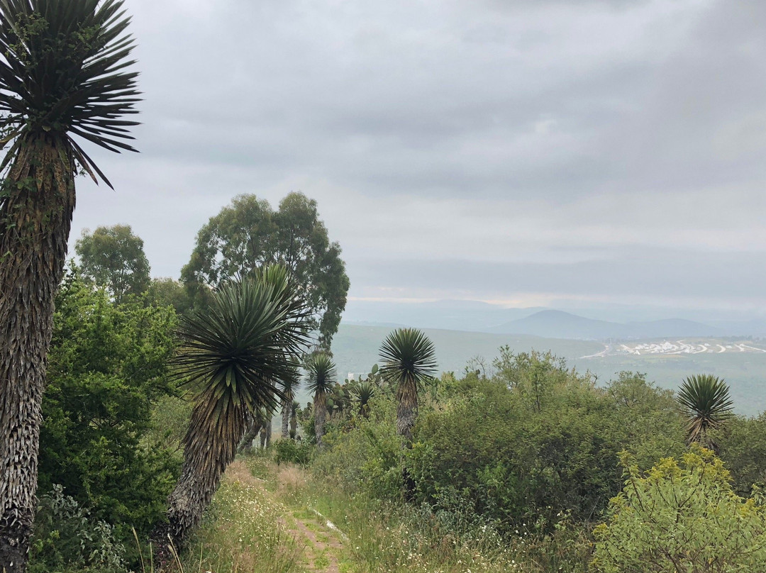 Parque Nacional El Cimatario景点图片