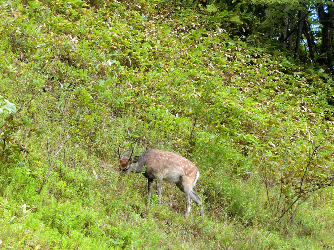 Sekisho Jukai Road-夕张市必去景点