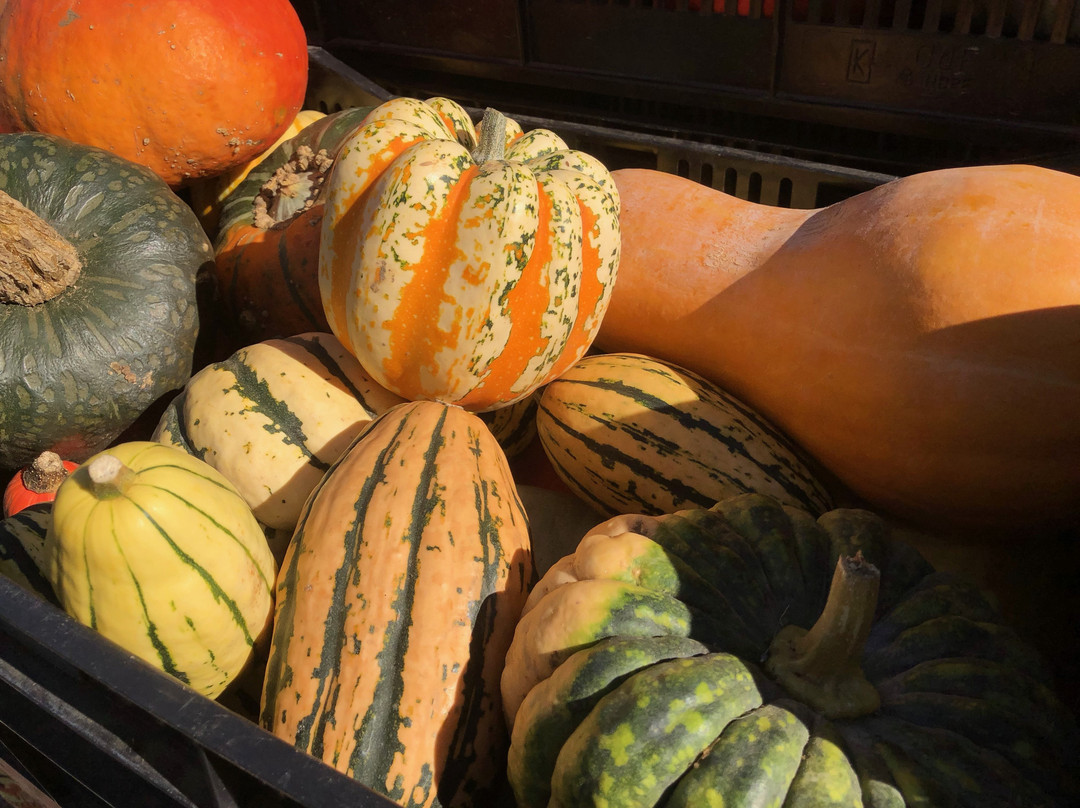 Burnaby Artisan Farmers’ Market-本那比必去景点