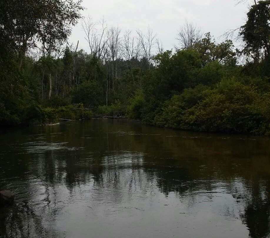 Pere Marquette River-拉丁顿必去景点