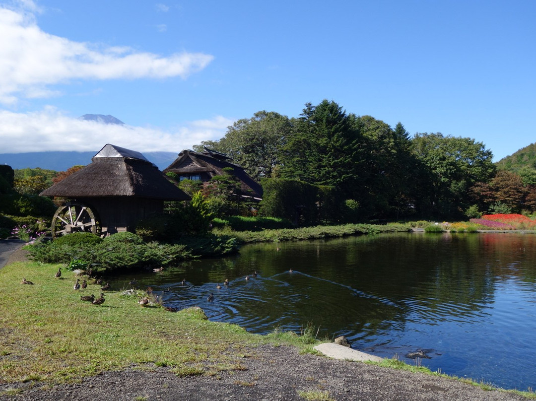 Hannoki Forest Museum / Sokonuke Pond景点图片