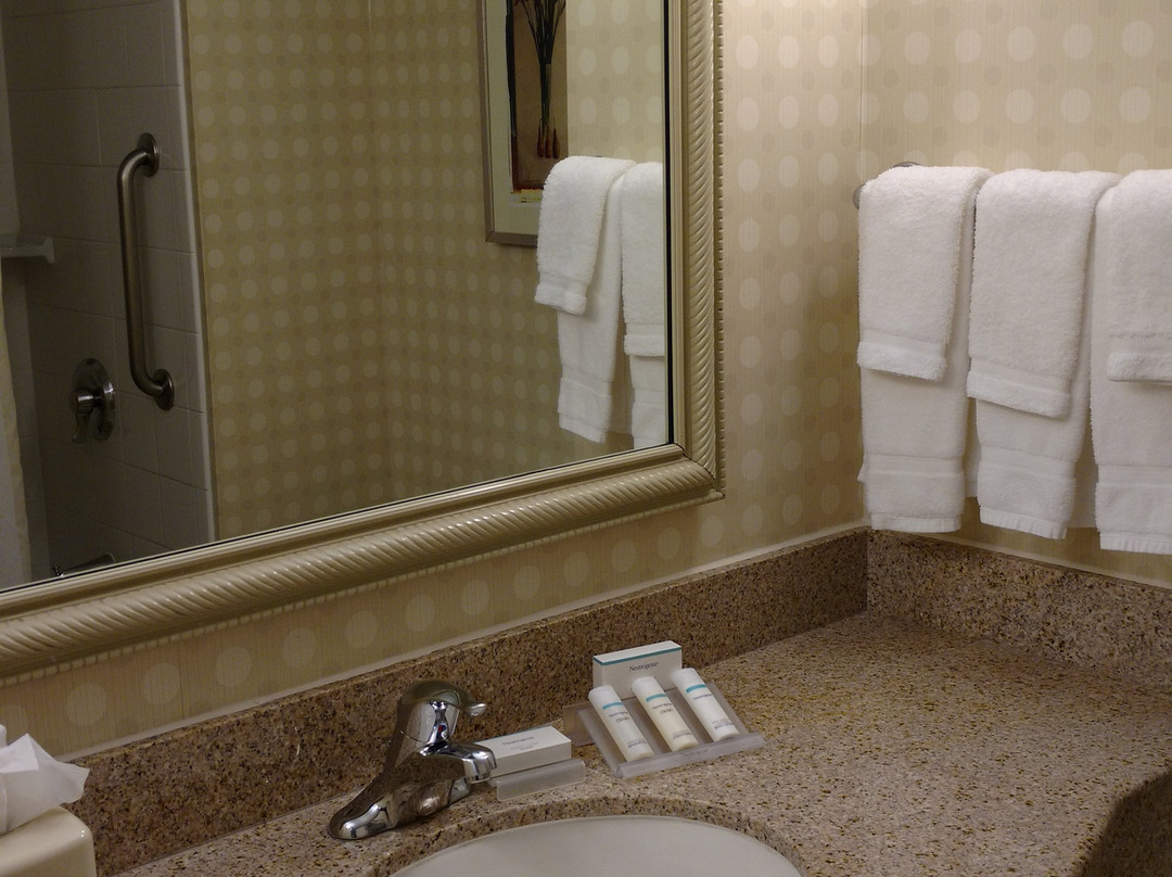 泰森斯角希尔顿花园旅馆主图