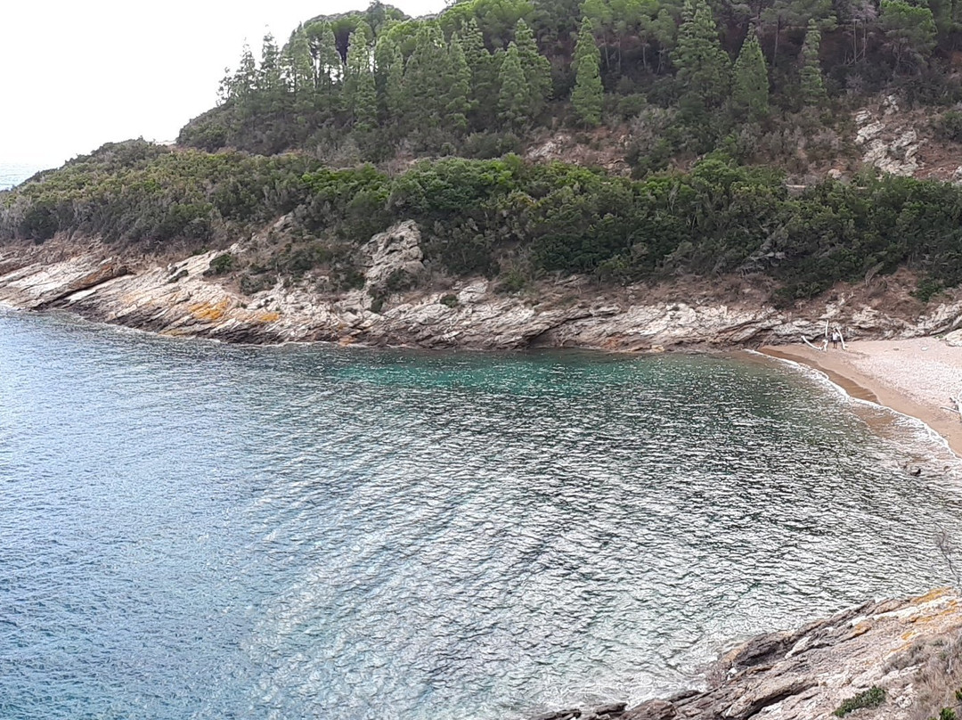 Spiaggia Di Buzzancone o Cera景点图片