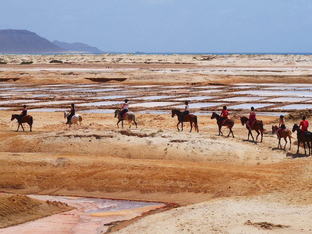 Santa Marilha Horse Excursions景点图片