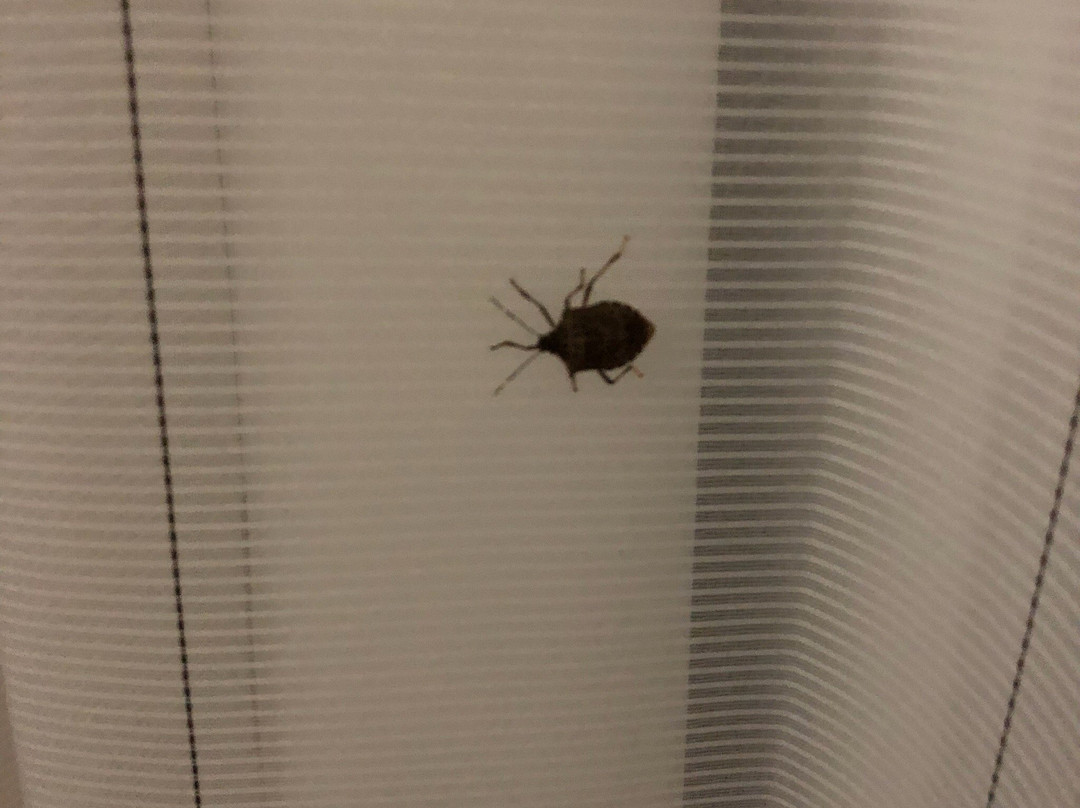 TownePlace Suites by Marriott Richmond主图