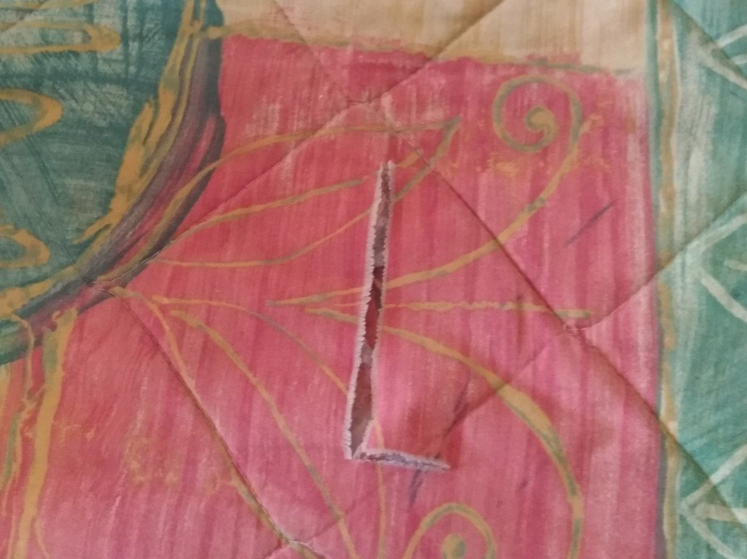 爱丽丝汽车旅馆主图