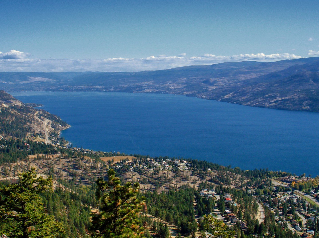 Log Home Bed & Breakfast主图