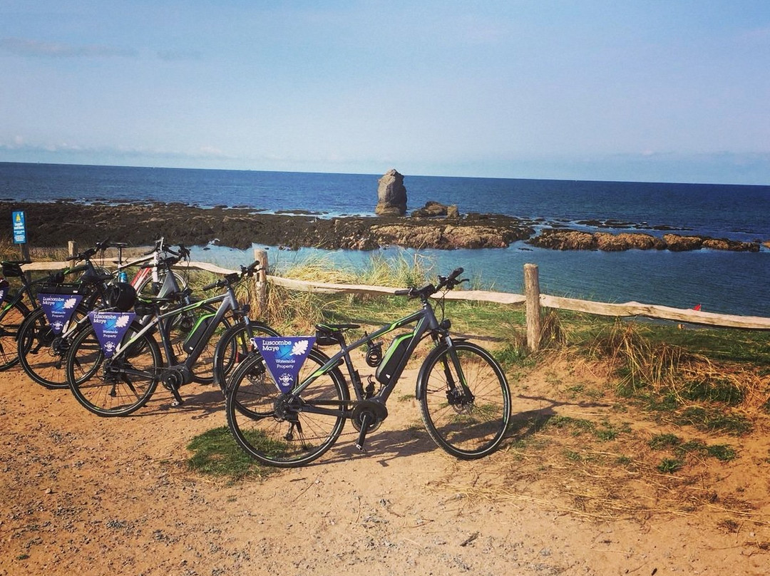 Salcombe Bike Hire Co-Salcombe必去景点