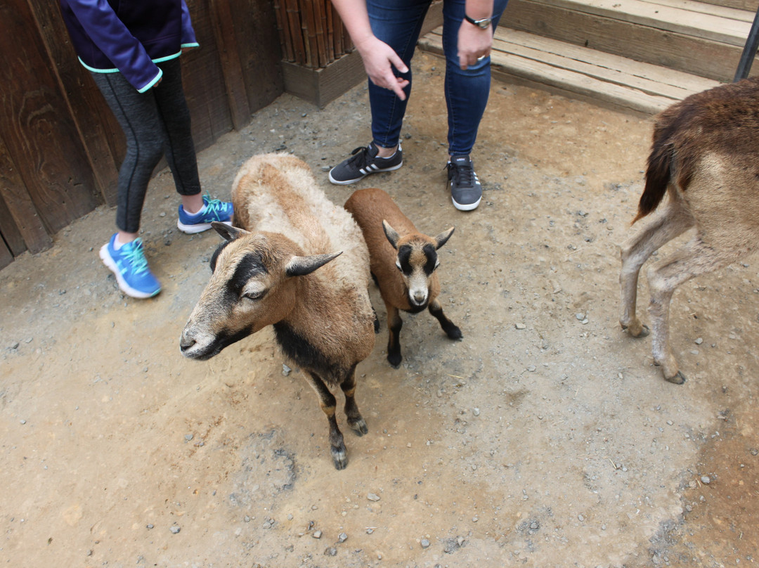 West Coast Game Park Safari景点图片