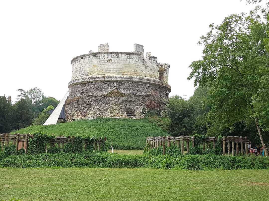 Chateau de Monthoiron景点图片