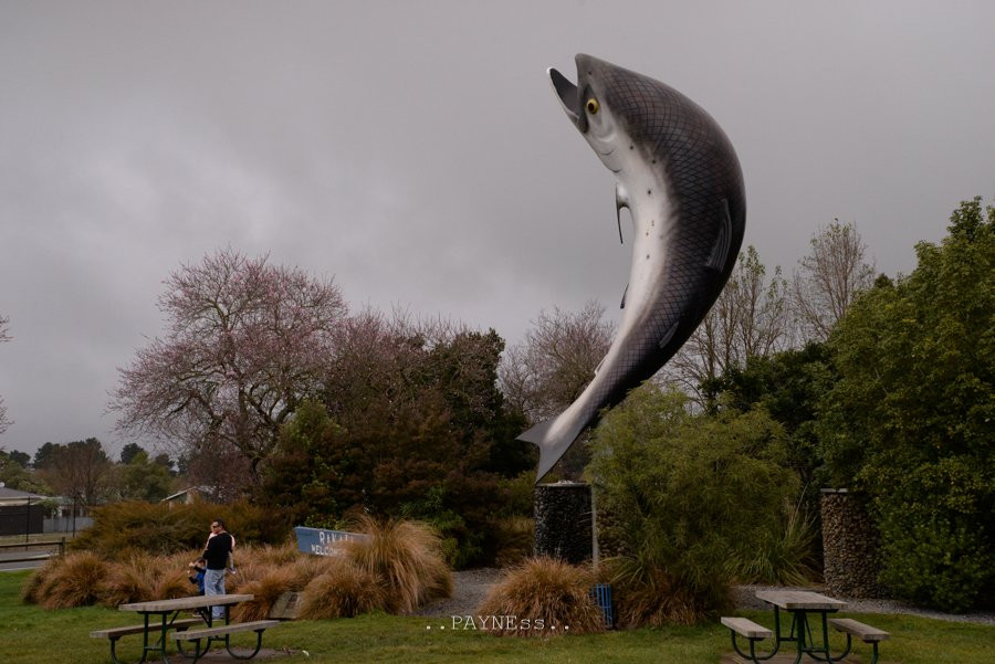 Rakaia Salmon Statue景点图片
