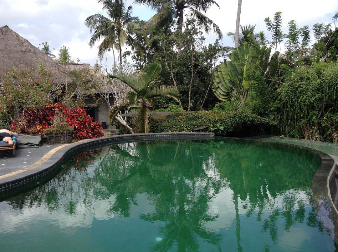 丹拉美那艺术度假村主图