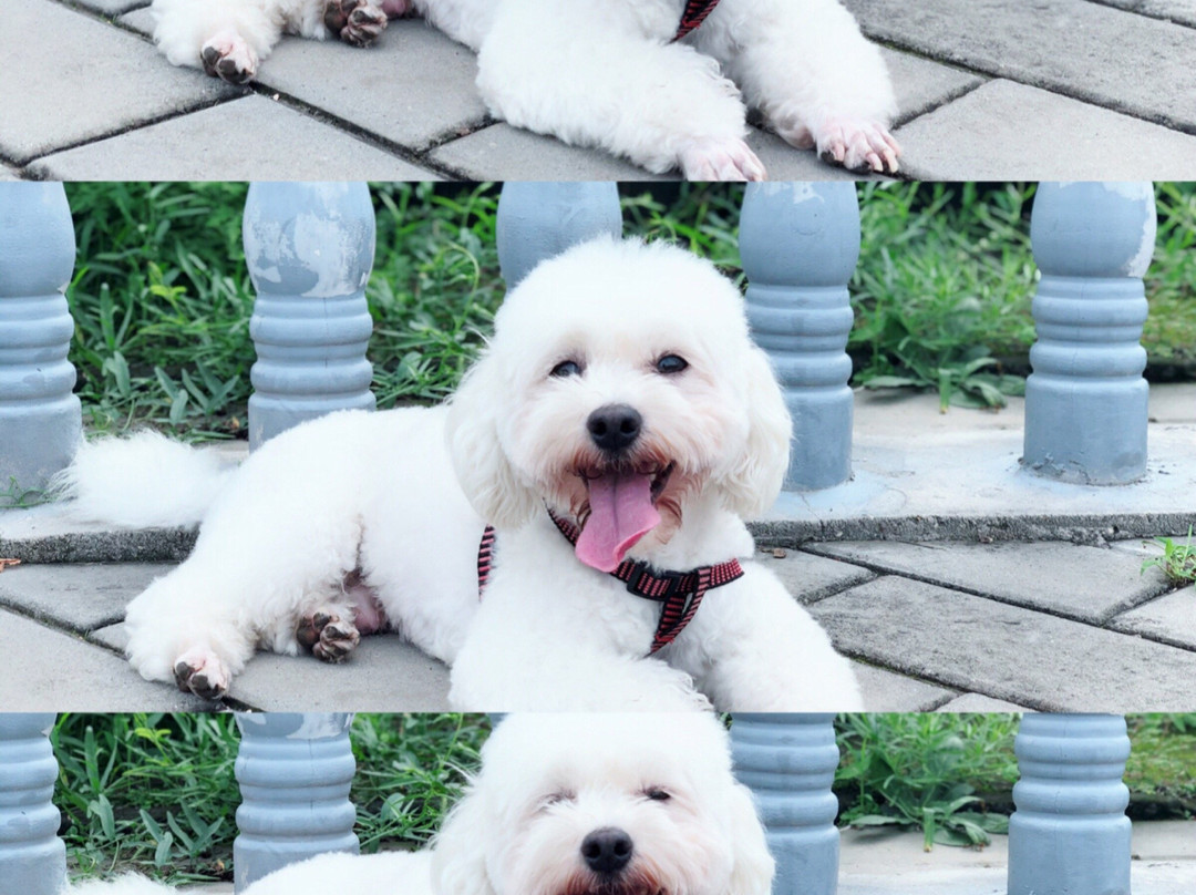 圣塔院塔-易县必去景点