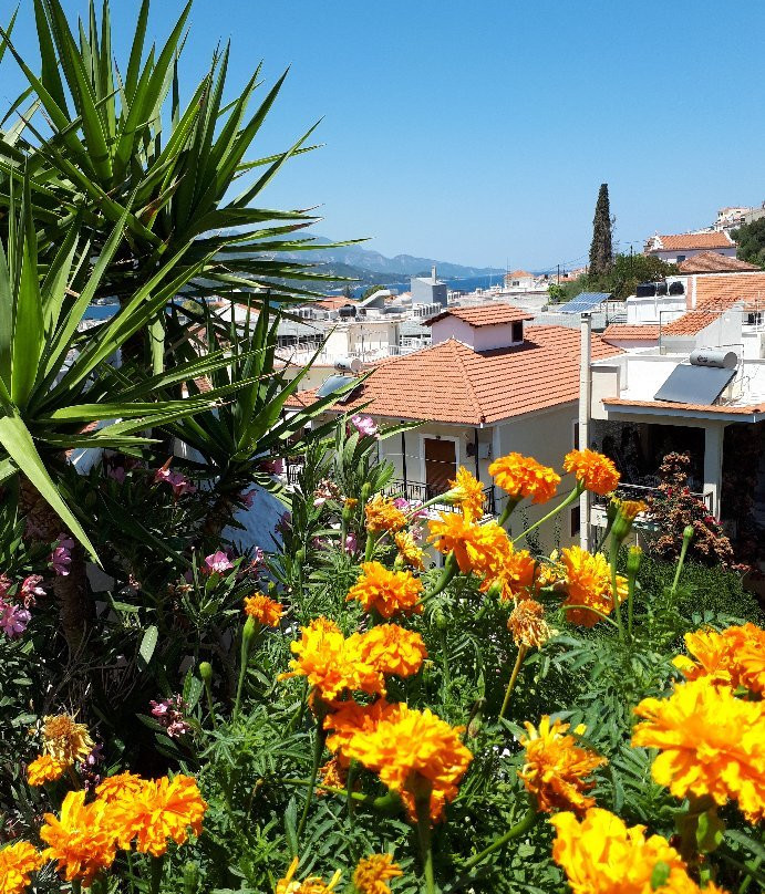 Hotel Odysseas主图