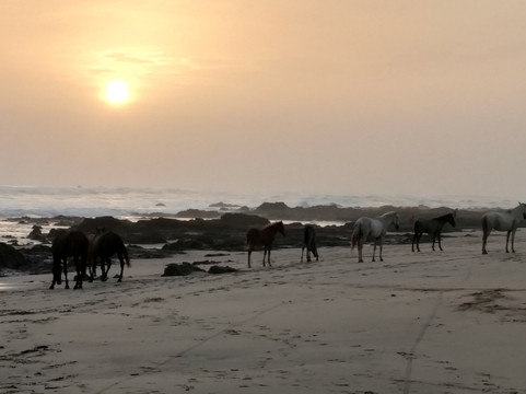 Lula's Tours & Shop-塔马林多必去景点