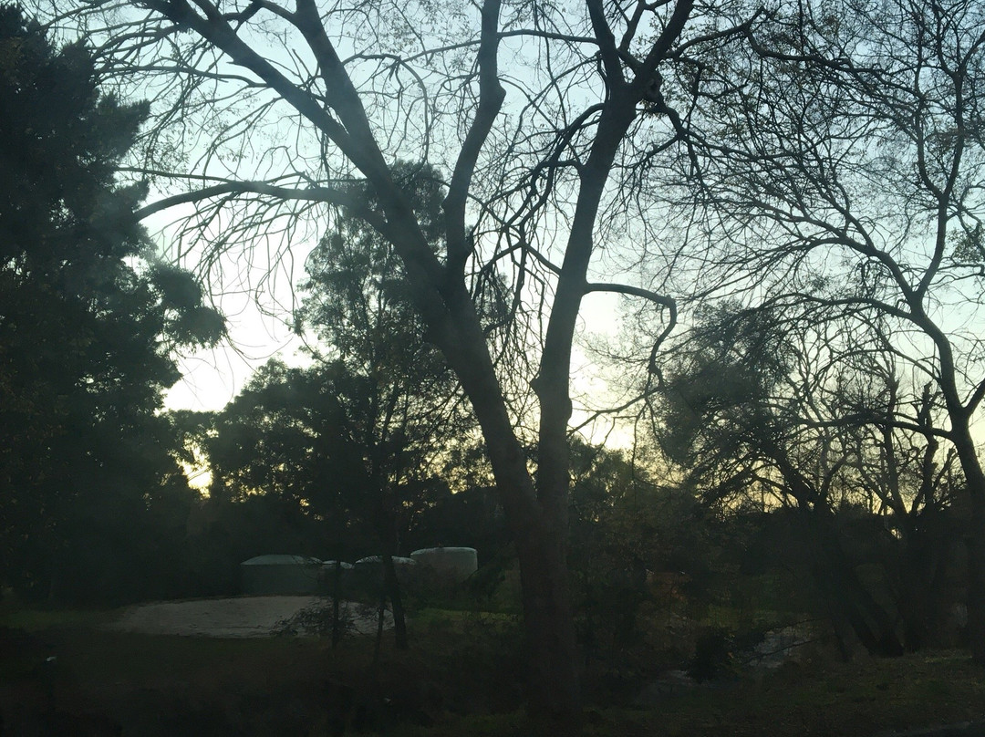 Malvern Valley Public Golf Course-Malvern必去景点