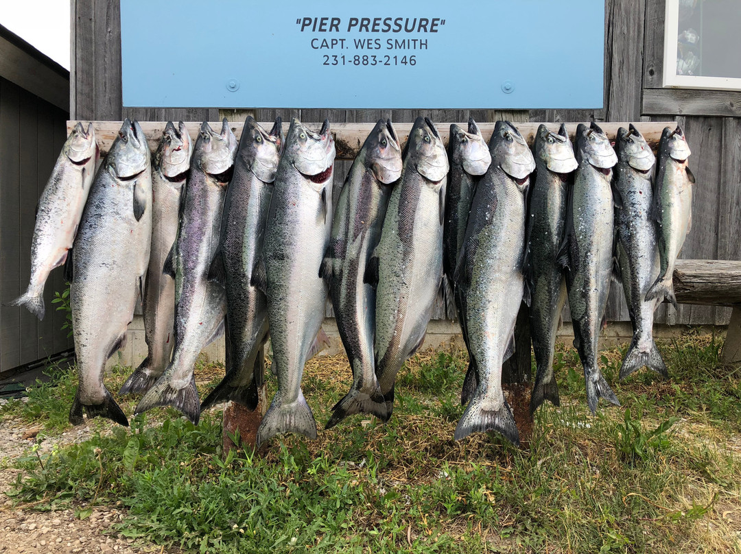 Mariah and Pier Pressure Charter Fishing景点图片