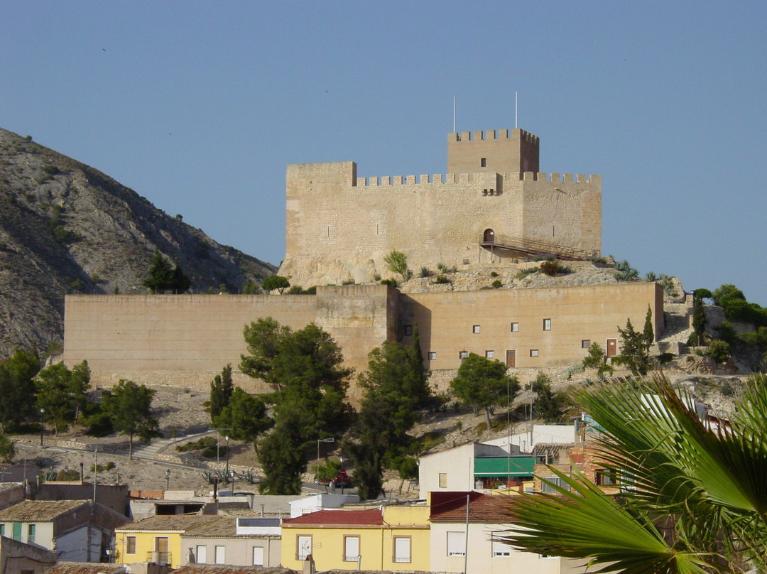 Castillo de Petrer景点图片