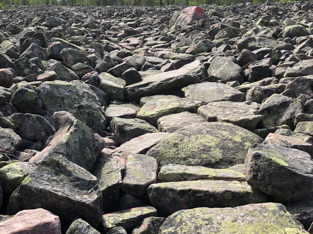 Balingeberget Nature Reserve-Luleå必去景点