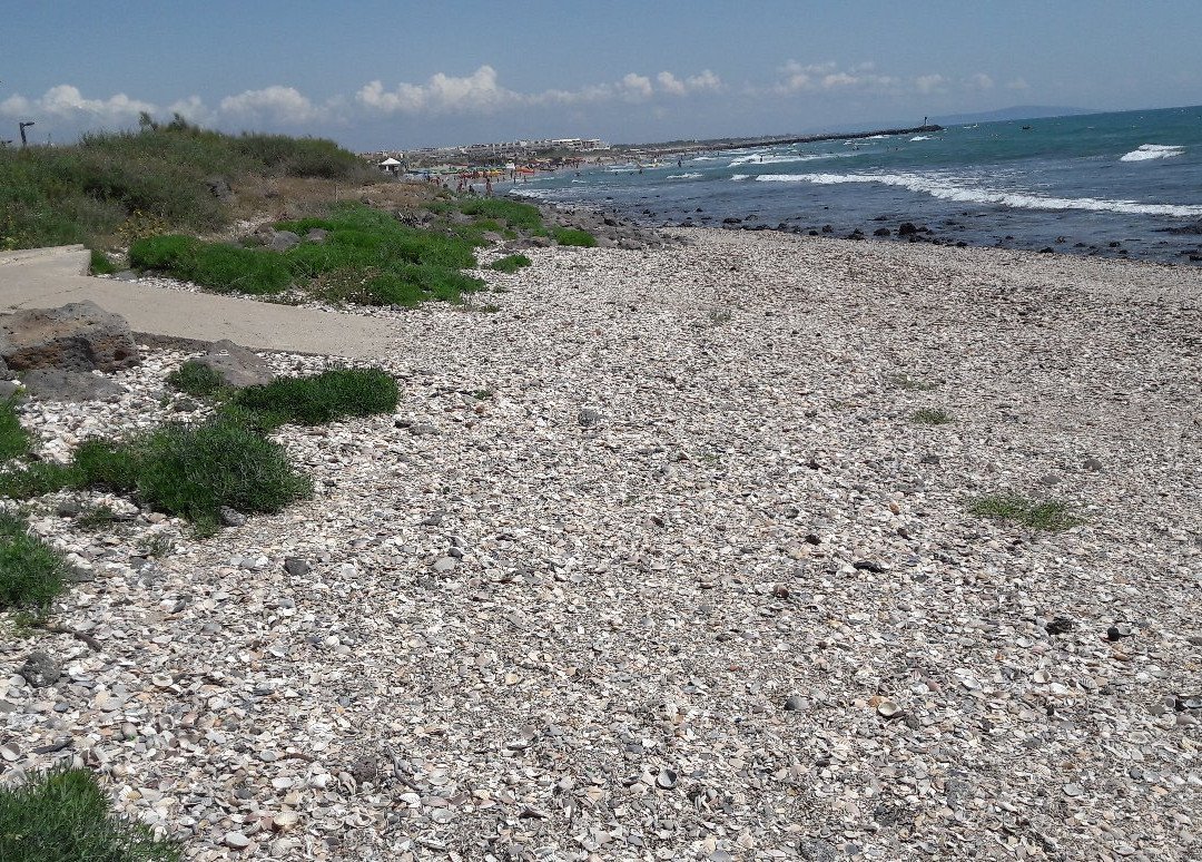 Plage de la Roquille景点图片