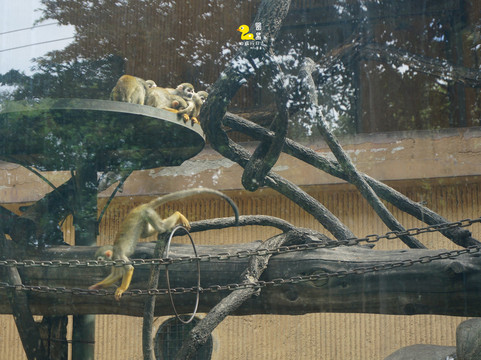 青岛动物园-青岛市必去景点