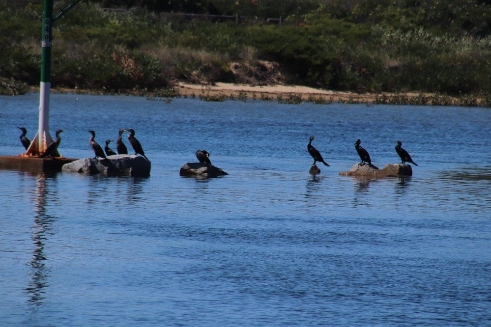 Batemans Marine Park景点图片