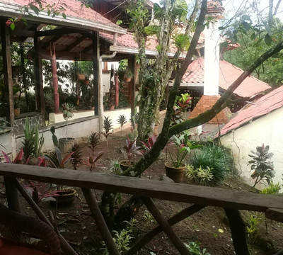 Princesa de la Luna Trpical Plant Farm