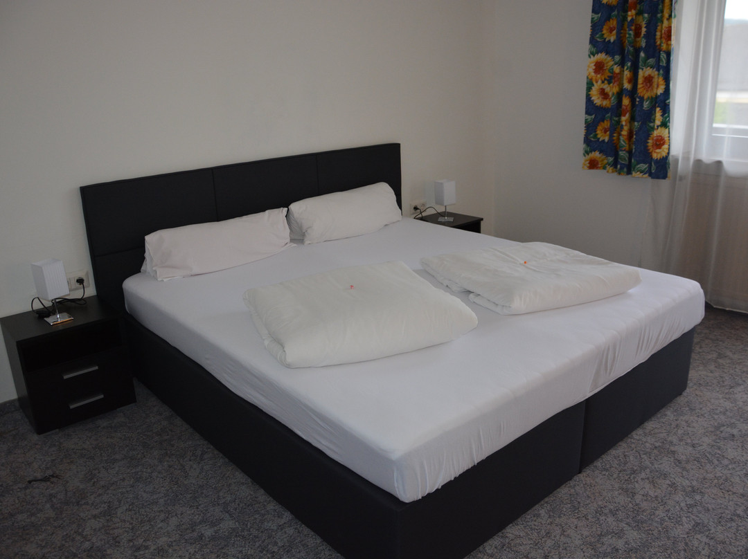 Hotel Boehmerwaldhof主图