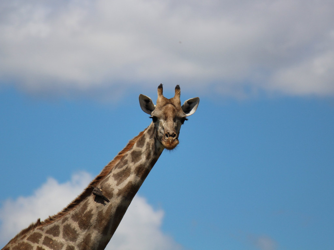 Zululand Explorers-圣露西亚必去景点