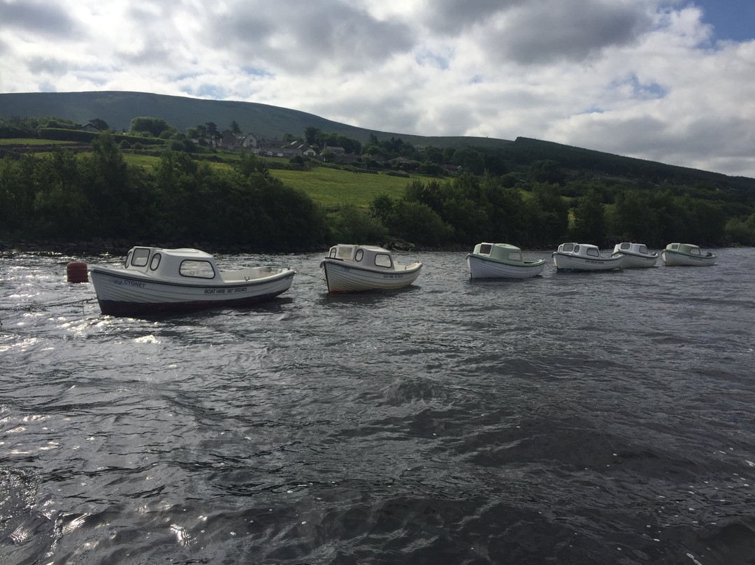 Blessington Lake Boat Hire-Ballyknockan必去景点