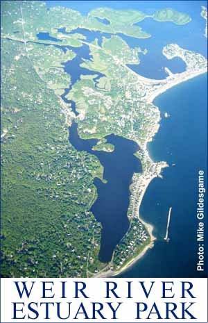Nantasket Kayaks景点图片