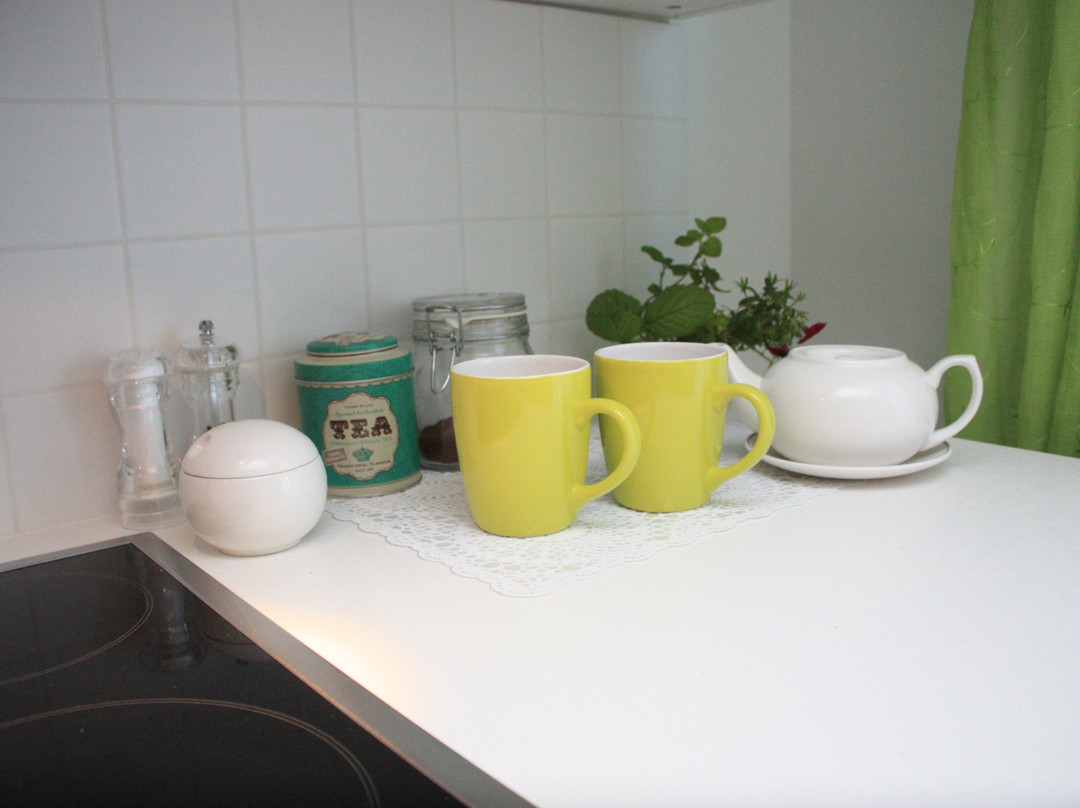 Riga Classic and Deluxe Apartments主图